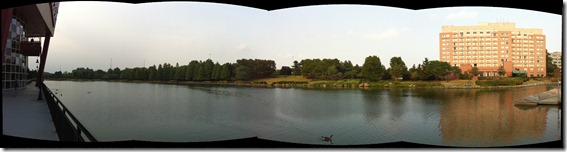 IMG_0478 Stitch